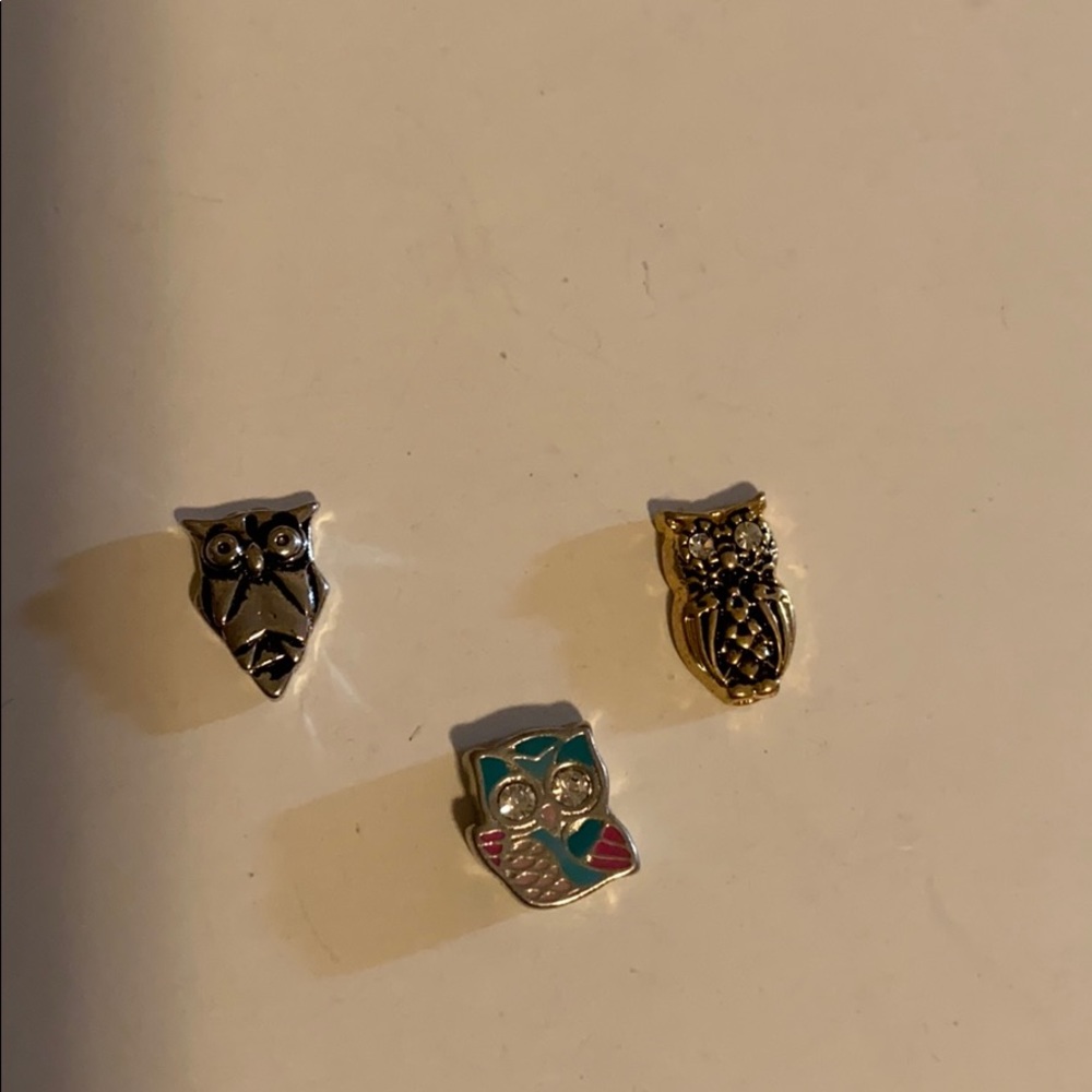 Origami Owl Charms (3)